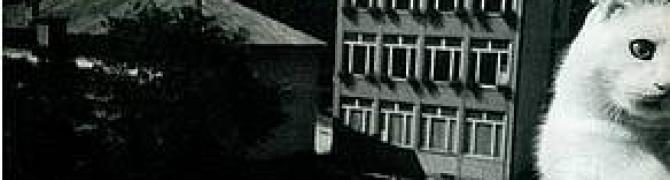 Aleksandra Vajd, fotografija iz cikla Drobtine po rjuhi, 2001