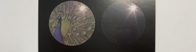 Ana Pečar, Slovar strasti, 2012, diptih, dvokanalni video