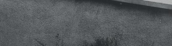 G 12-9,1973, black and white photography, detail