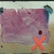 GIF: Franc Curk: Kinetična grafika, elektronska instalacija, 53,5 x 45,5 cm, 1988 / foto: Dejan Habicht (Arhiv Moderna galerija)