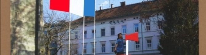 Gibanje za javni govor, načrt za projekt v javnem prostoru, kolaž