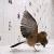Jasmina Cibic, For the Birds, 2007, detajl (foto: Pete Moss)