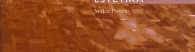 Mojca Puncer, Sodobna umetnost in estetika