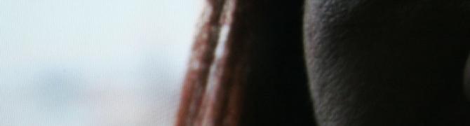 T. Žbona in V. Meli, Morphing5.2_IMG_8850, 2007, videosegment