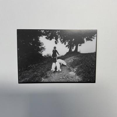 Stojan Kerbler, Deklica iz Haloz, 1972, čb želatinska srebrobromidna fotografija na papirju, kaširana na iverno ploščo