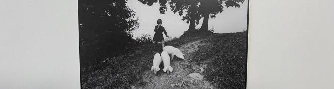 Stojan Kerbler, Deklica iz Haloz, 1972, čb želatinska srebrobromidna fotografija na papirju, kaširana na iverno ploščo
