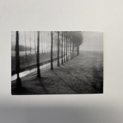 Zora Plešnar, Iz cikla Mimo, 1971 - 1974, srebrobromidna fotografija na papirju, kaširana na iverno ploščo
